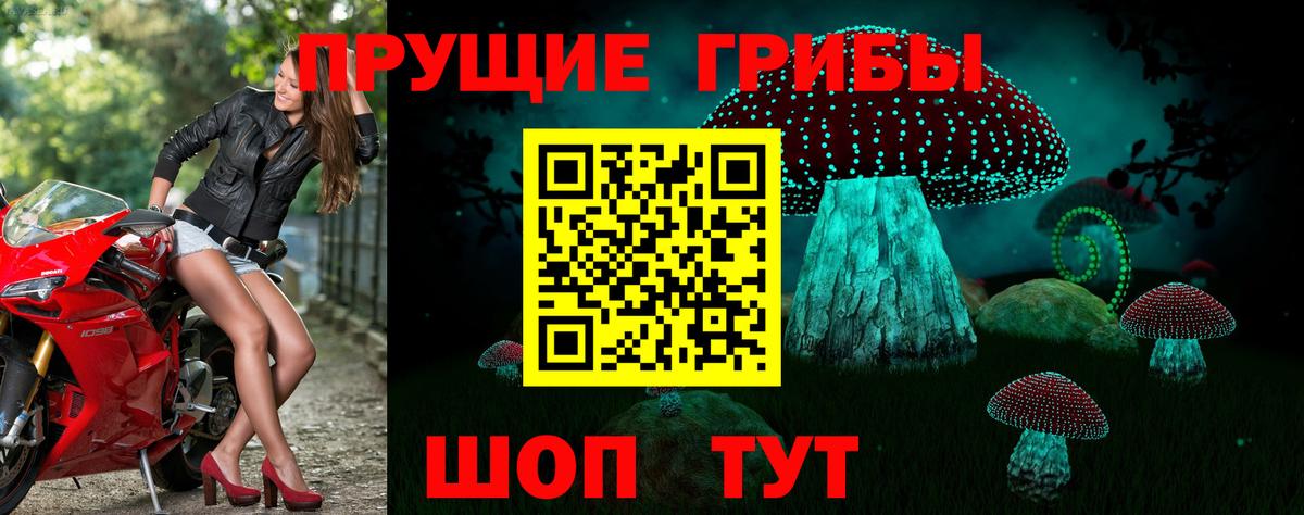 Псилоцибиновые грибы ЛСД Оренбург